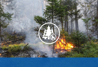 森林防火预警系统